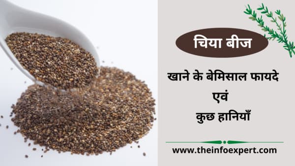 chia-seeds-in-hindi-beej-benefits-fayde-nuksan-side-effects-uses