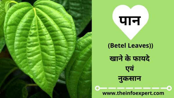 betel-leaf-paan-ke-fayde-benefits-nuksan-side-effects-uses-in-hindi