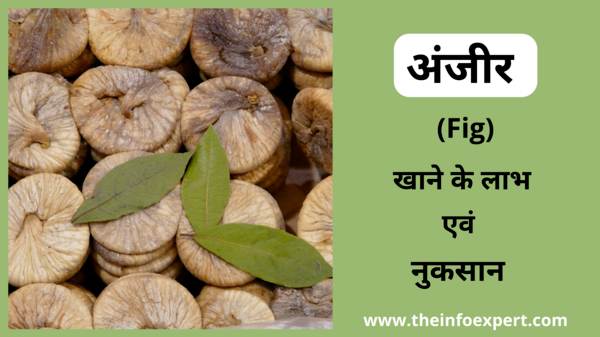 fig-anjeer-khane-ke-fayde-benefits-nuksan-in-hindi
